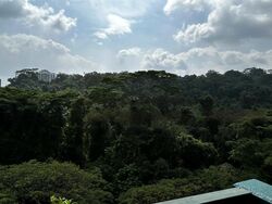 Meralodge (D23), Condominium #561747481